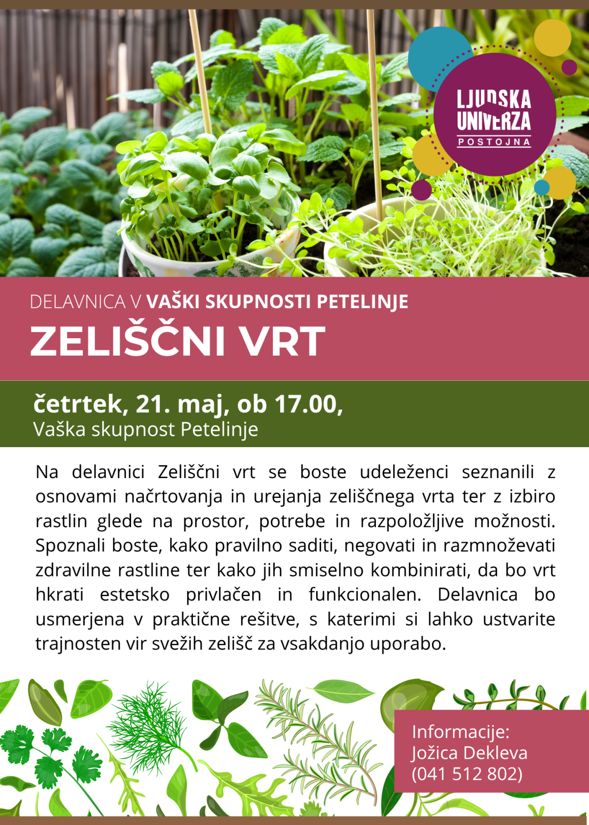 zeliščni vrt _ petelinje